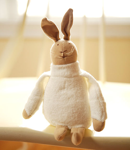 plump_bunny.jpg